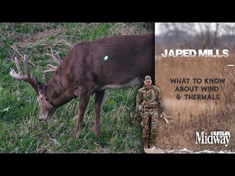 What to Know About Wind and Thermals when Hunting Deer | Jared Mills