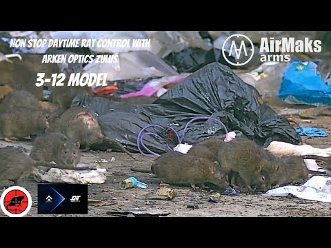 RATTING WITH ARKEN ZULUS 3-12 AIR RIFLE - THE BEST ON YOUTUBE 100S OF RATS