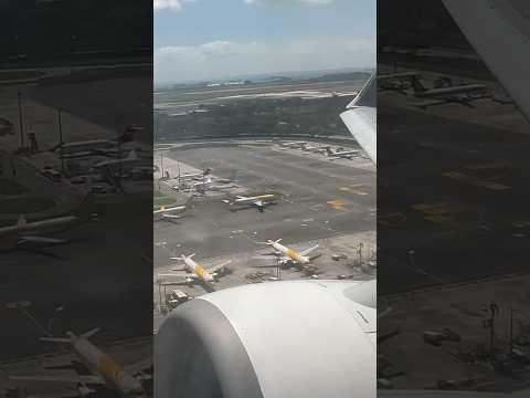 Go around onboard Singapore B737-800 #aviation