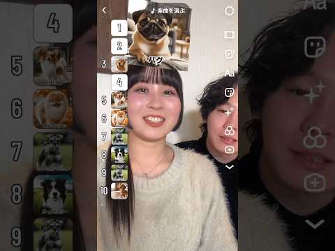 【お気に入りの犬ランキング🐶】#ちゅん #カップル #カップルの日常 #tiktok #チャレンジ #犬 #youtube #shorts #youtubeshorts