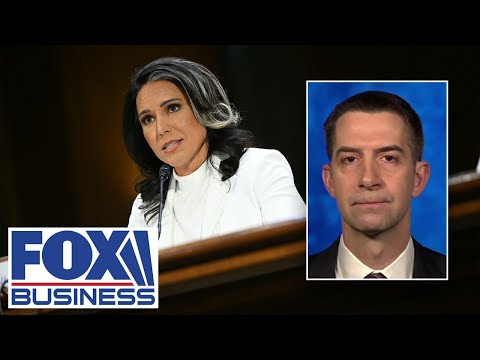 Sen. Tom Cotton lauds DNI Gabbard for stripping ex-Biden officials of clearances