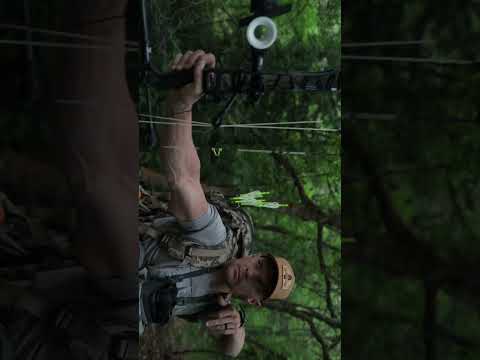 the simple sound of a bow is so soothing dont ya think? #archery #bowhunting #hoyt #mathews