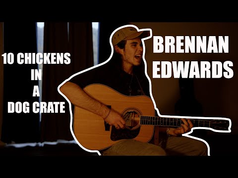 10 Chickens In A Dog Crate - Brennan Edwards