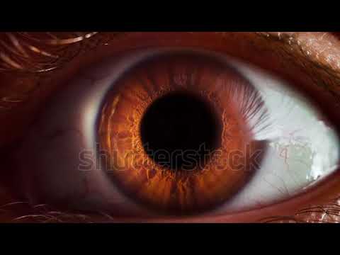 stock footage human eye iris opening pupil extreme close up slow motion