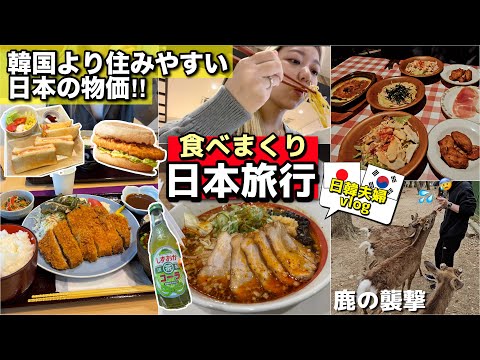 【日韓夫婦vlog】韓国より住みやすい日本の物価！鹿の襲撃・爆食い食べ過ぎ(ラーメン×2・サイゼリア・激安モーニング・とろろきしめん・味噌カツ・お茶コーラ・マック・パン屋)日本旅行 【モッパン】