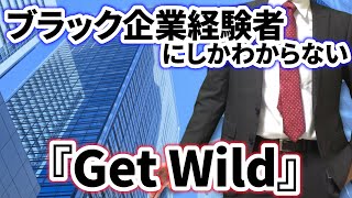 【替え歌】社畜にしかわからないGet Wild/TM NETWORK