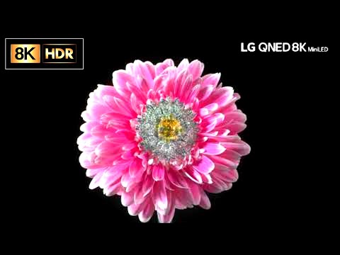 8K HDR Video - FloatingGarden || LG QNED mini LED 8K