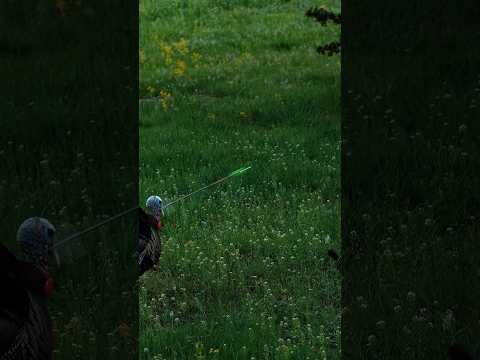 I CANT BELIEVED I MISSED AGAIN!🤯🤯 #slowmotion #shorts #archery #turkey #bowmararchery