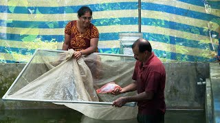 Kissan Krishideepam Episode - 1060 - Ajayakumar reaps the benefits of fish farming.