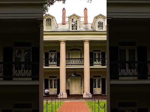 oak alley’s 300-year-old trees tell a story #neworleans #history #plantation