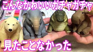 動物ガチャ史上最高RBENSTUDIOアニマルフィギュアマスコット。絶対勝った方がいい。