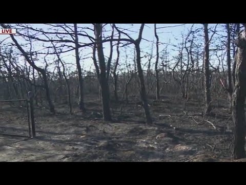 Family’s s’mores bonfire leads to brush fires across Long Island: Officials