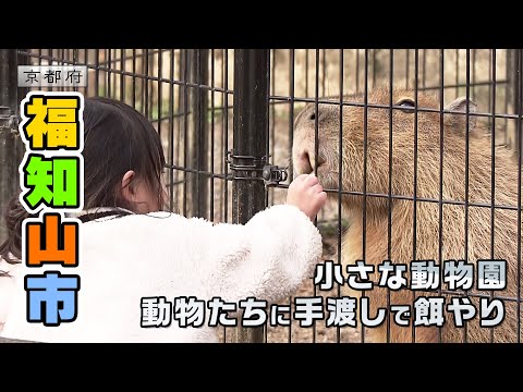 福知山市動物園を名物園長が案内！｜福知山市｜【ふるさとDays】