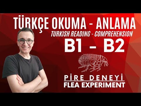 B1 - B2 Turkish Reading - Comprehension |  Okuma - Anlama  | Pire Deneyi - Flea Experiment