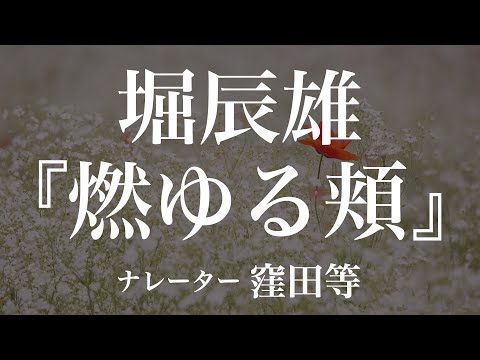 『燃ゆる頬』作：堀辰雄　朗読：窪田等　作業用BGMや睡眠導入 おやすみ前 教養にも 本好き 青空文庫