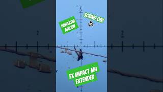 Powerful Airgun | FX Impact M4 Extended | High Power Setup #fxairguns