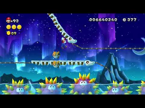 "Freezing Spine Coaster Ride" | NSMBU Custom level