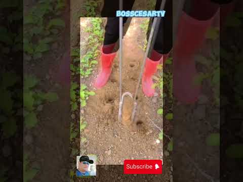 Amazing Tool for making hole #farming #agriculture #satisfying #farmingtools #shortvideos #shorts