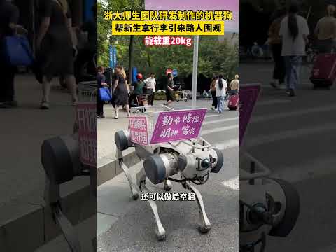 Robot dog helps carry new student's bags in China #china #shorts #robot