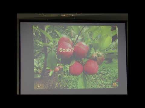 Agro K Apple Seminar 2016 Part 3 of 4