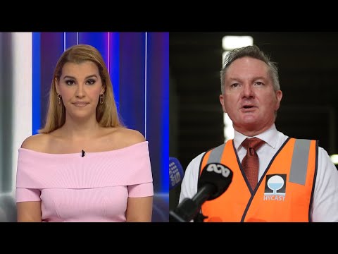 Renewable energy ‘fairy-tale fantasy’: TV host calls out Labor's ‘obsession’