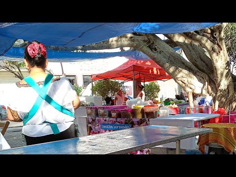 El Festival de la Flor Cuchunu Tuxtla Gutiérrez Chiapas