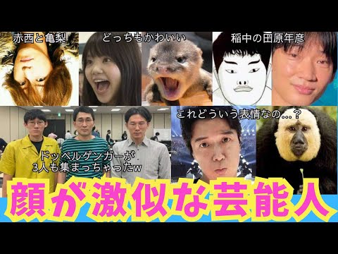 【閲覧注意】マジで似てるwww！芸能人のそっくり画像。激似すぎてビックリ！思わず声出た！【ガルちゃん芸能】