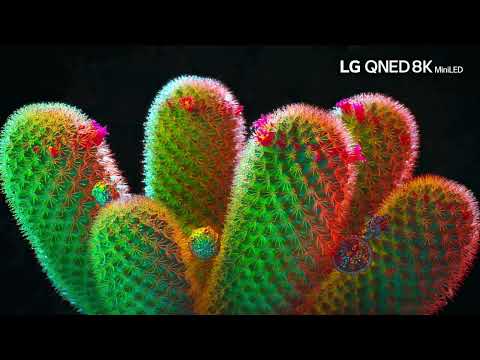 LG QNED Mini LED 8K || 8K HDR Shine