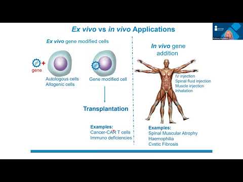 Gene therapy and its potential for treating health conditions - Professor Uta Griesenbach (Part 1/2)