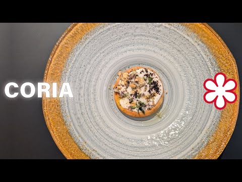 PRIMA ESPERIENZA in un RISTORANTE STELLATO | SPECIALE 10K ISCRITTI