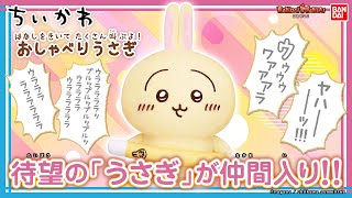 イヤッハー！めっちゃ叫ぶうさぎのぬいぐるみ登場！「はなしをきいて たくさん叫ぶよ！ おしゃべりうさぎ」を紹介！【バンダイ公式】【バンマニ!】