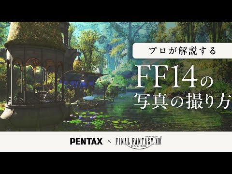 プロの写真家が解説！グループポーズで楽しむ「光の戦士の世界」【PENTAX×ファイナルファンタジーXIV】