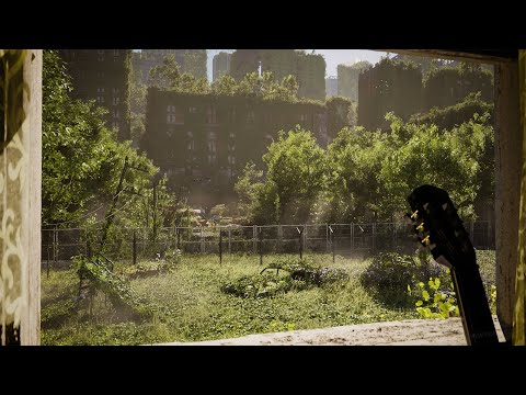 The Last Of Us Inspired Study Ambience | Gentle Breeze & Birdsong | Nature Takes Over |