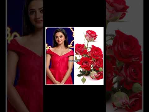 Happy Rose 🌹 day special 🌹🌹All TV serial actress dress same colour as Rose flower 🌹🌹#shorts