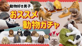 ◆動物好き男子おススメの動物系ガチャガチャ◆