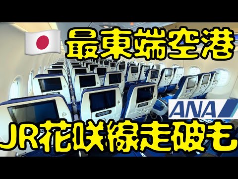 【緊急停車&絶景】アクセスが大変すぎる空港から一気に東京を目指すと...