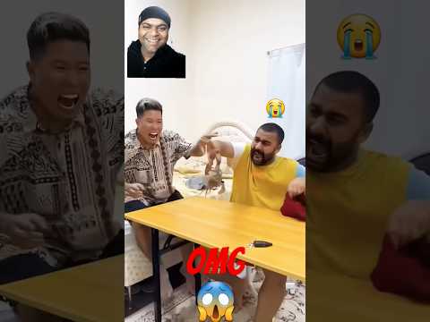 Big Fails 😂😂😂 Animals Funny Moments In The World 2023 #shorts