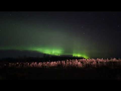 Aurora in Elk  Island National Park