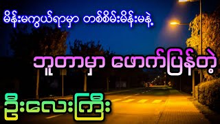 ချစ်ပန်းပွင့် ၂