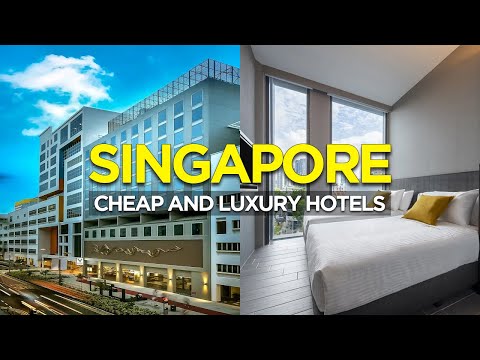 Best Cheap and Luxury Hotels in Singapore 2024 | Singapore Nightlife