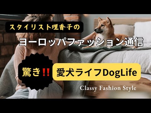 【ヨーロッパ驚き‼️】【愛犬生活】飛行機に搭乗するワンコ　長生きの秘訣　【ワンコ大好き💕】な方✨必見です♪愛犬家スタイリストのヨーロッパで見たワンコ事情🐕‍🦺