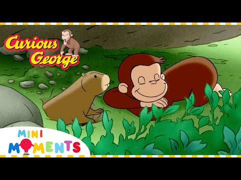 George's Whistlepig Friend! | Curious George | Mini Moments