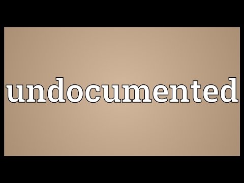 Undocumented Meaning