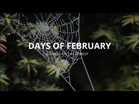 Month Of Transition | Spring Is Coming | #09