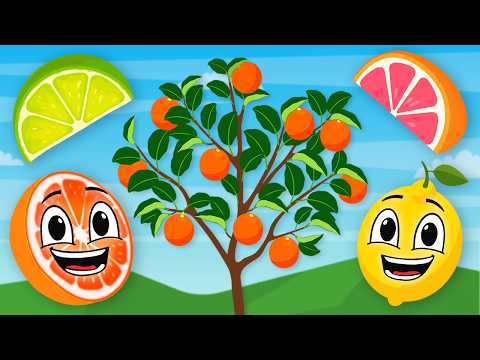 Learn About Fruits That Grow On Trees: Lemons , Limes, Oranges | Learning Fruits Song For Kids | KLT