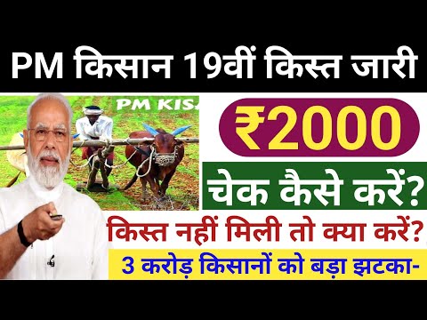 PM किसान 19वीं किस्त ₹2000 जारी | चेक कैसे करें? किस्त नहीं मिली क्या करें? करोड़ों किसानों को झटका