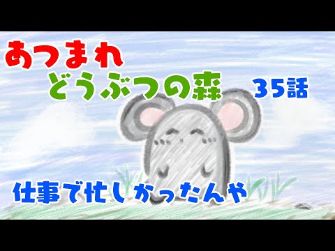 【あつまれどうぶつの森】汚くなった島を見せてしんぜよう