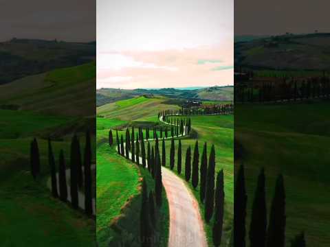 House of the Gladiator: Val d’Orcia