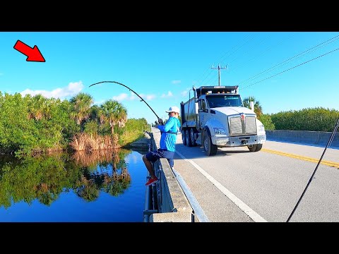 I Drove 8 Hours to Fish This Florida Bridge!