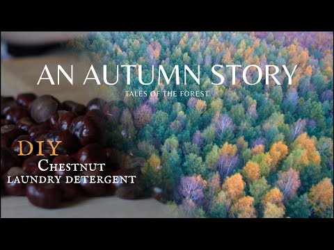 Forests of Fall | DIY Chestnut Detergent | # 25